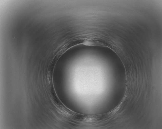 X0000060560174200511101613