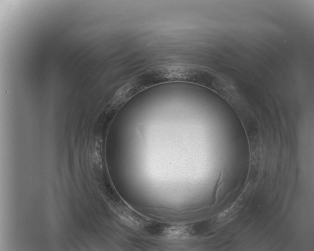 X0000060560175200511101613