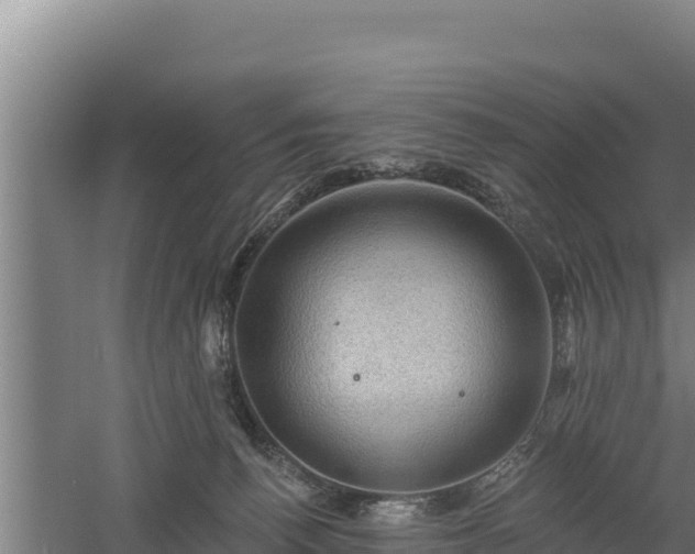 X0000060560176200511101613