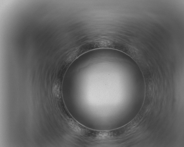 X0000060560177200511101613