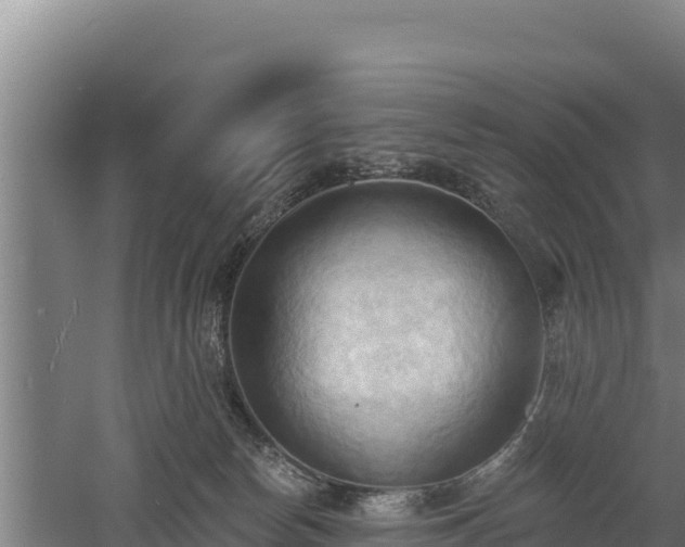 X0000060560178200511101613