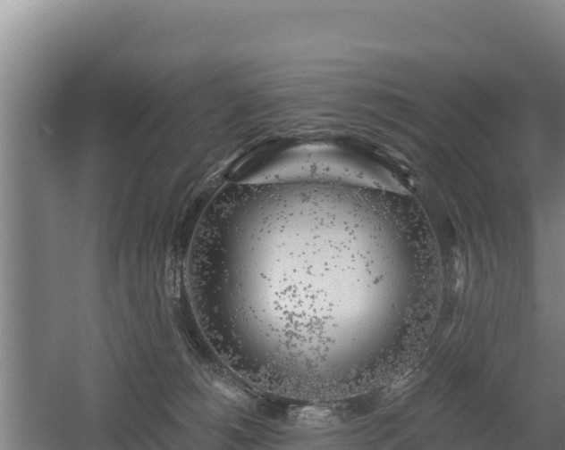 X0000060560180200511101613