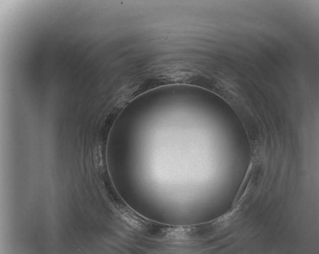 X0000060560182200511101613