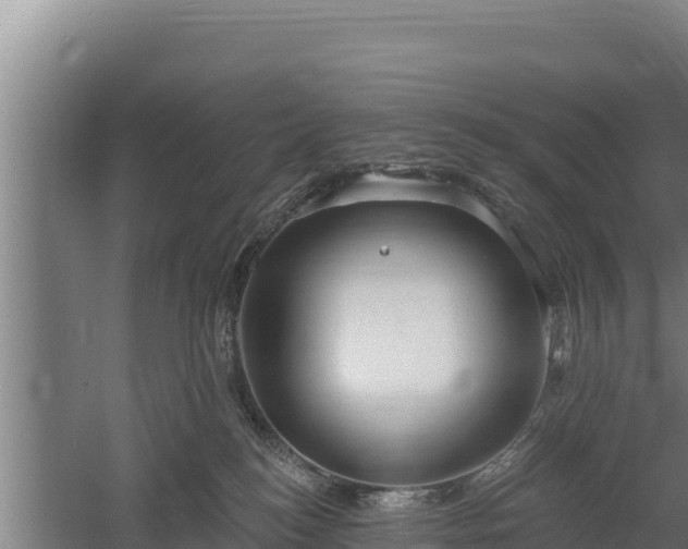 X0000060560184200511101613