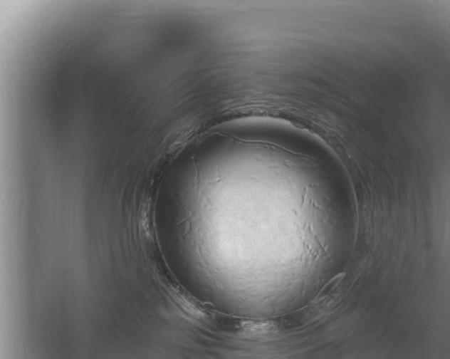 X0000060560185200511101613