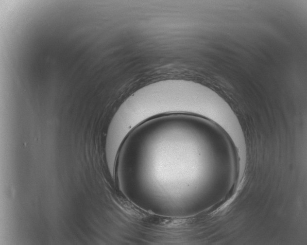 X0000060560186200511101613