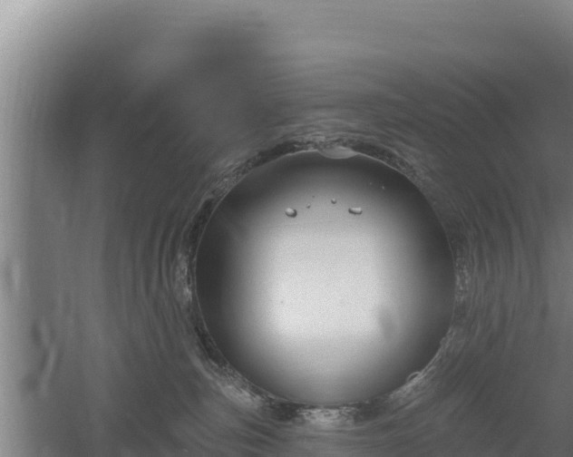 X0000060560187200511101613