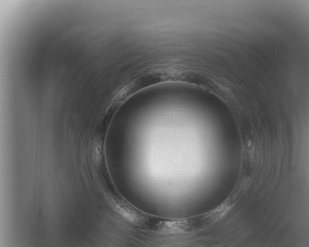 X0000060560188200511101613