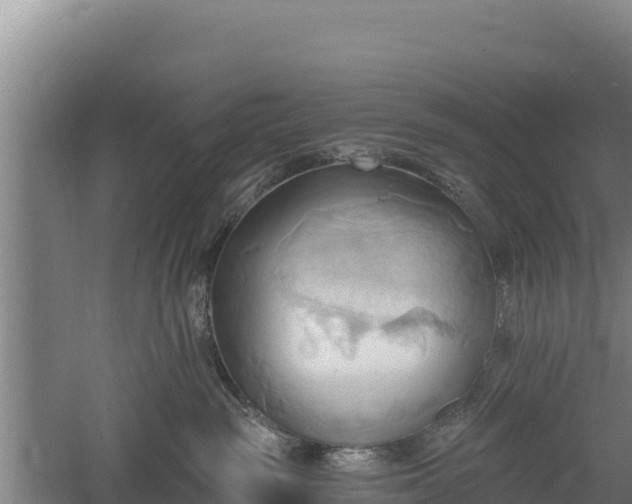 X0000060560189200511101613