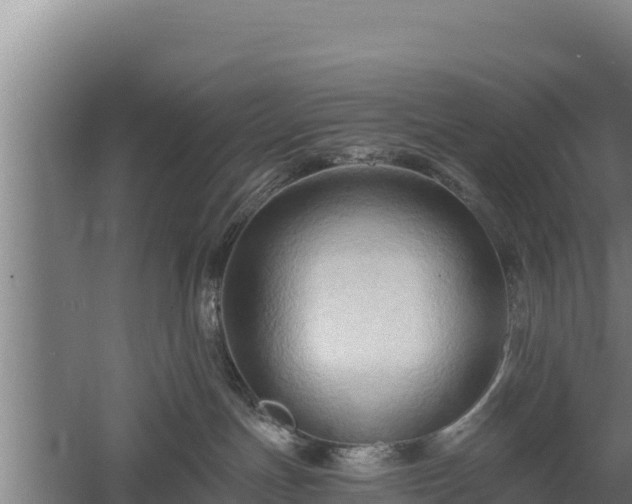 X0000060560191200511101613