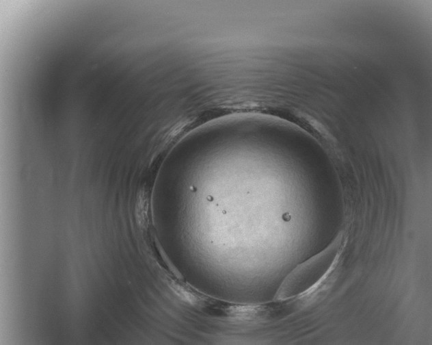 X0000060560192200511101613