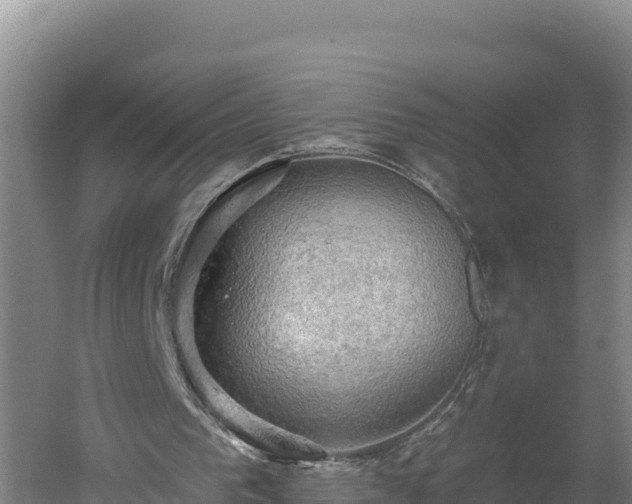 X0000060560193200511101612