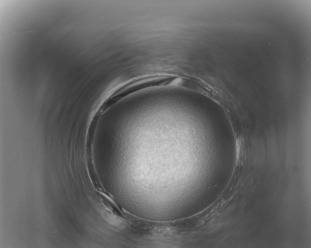 X0000060560195200511101612