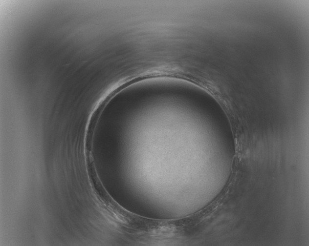 X0000060560196200511101612