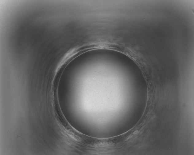 X0000060560198200511101612