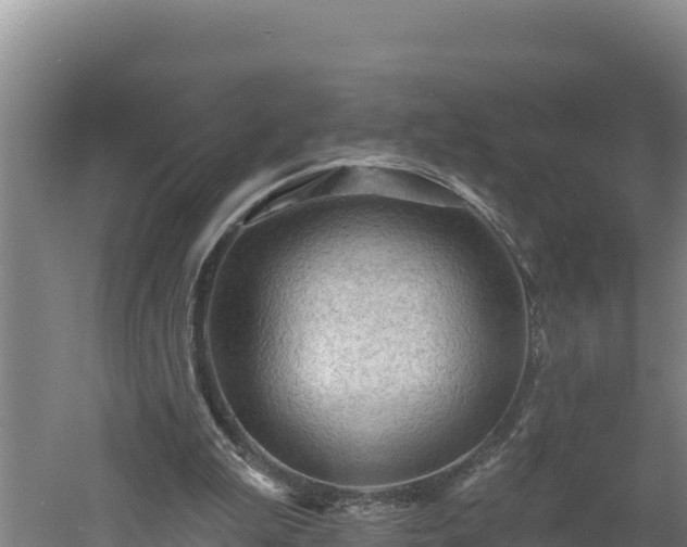 X0000060560199200511101612