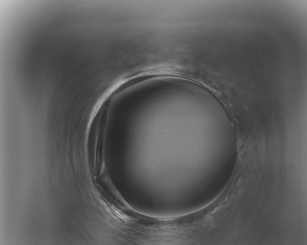 X0000060560200200511101612