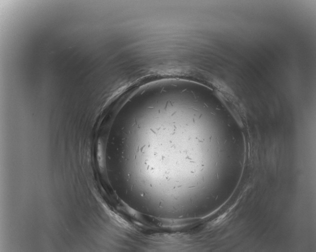 X0000060560201200511101612