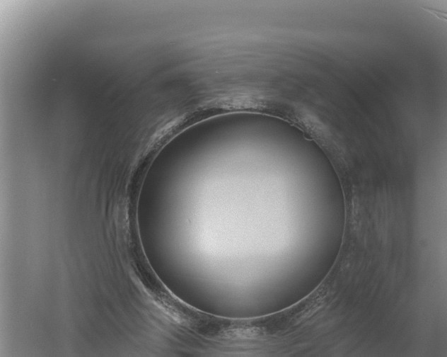 X0000060560202200511101612