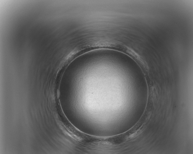 X0000060560203200511101612