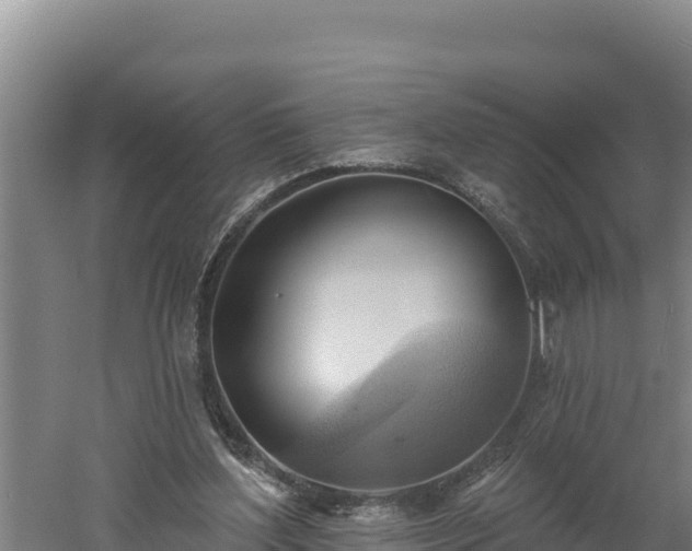 X0000060560204200511101612