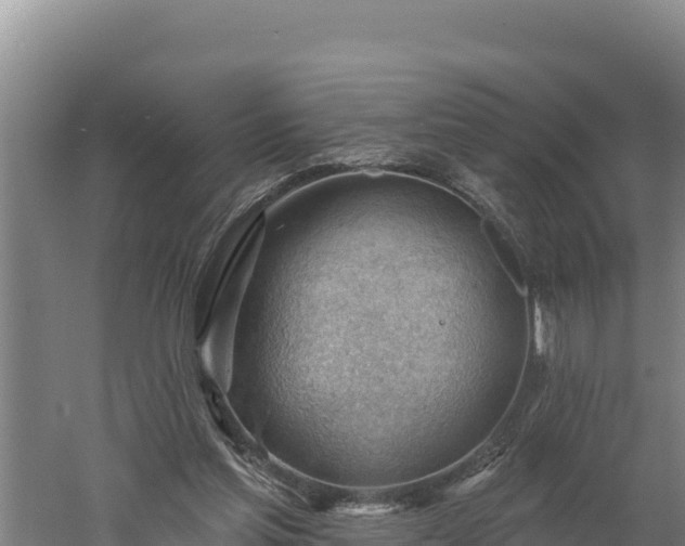 X0000060560205200511101612