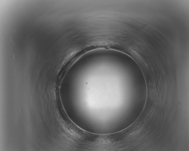 X0000060560207200511101612