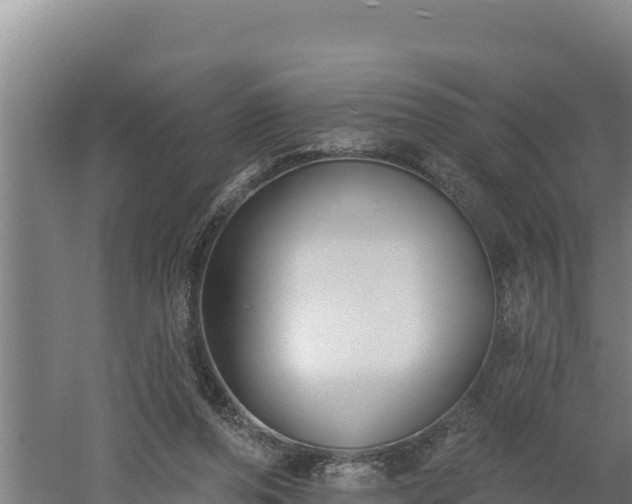 X0000060560208200511101612