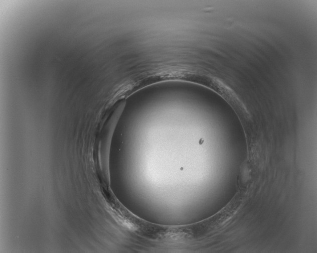 X0000060560209200511101612