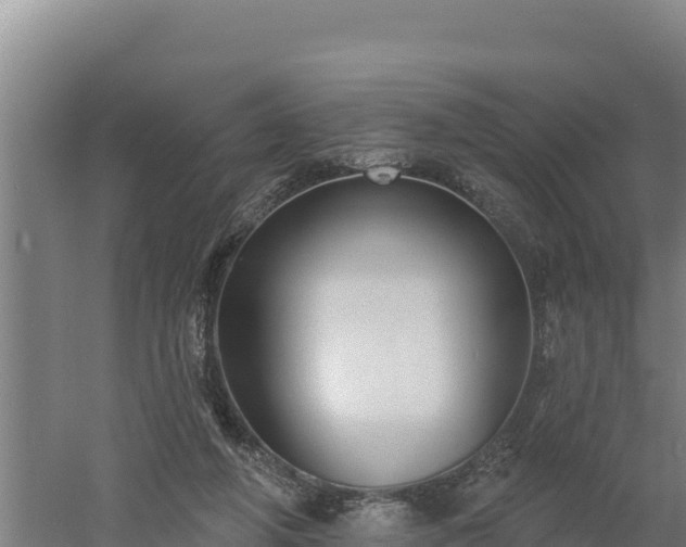 X0000060560210200511101612