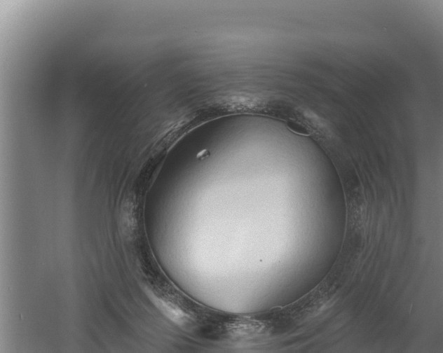 X0000060560215200511101612