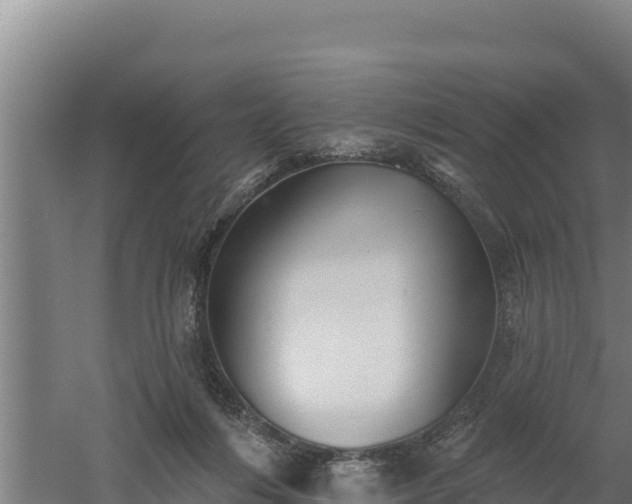 X0000060560216200511101612