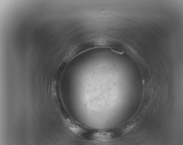 X0000060560217200511101612