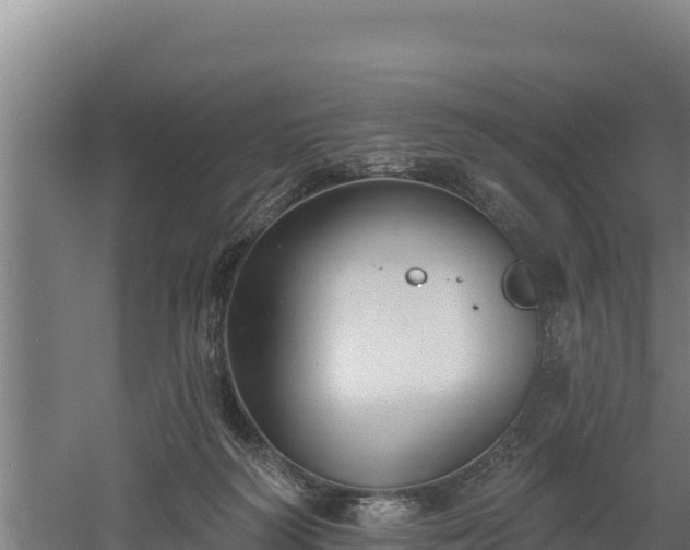 X0000060560218200511101612