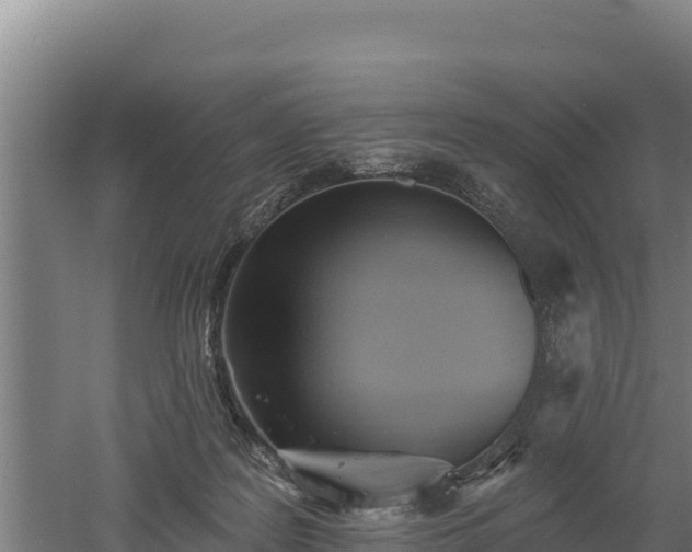 X0000060560219200511101612