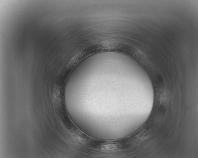 X0000060560220200511101612