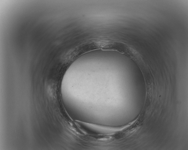 X0000060560221200511101612