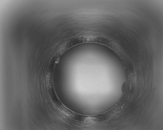 X0000060560222200511101612