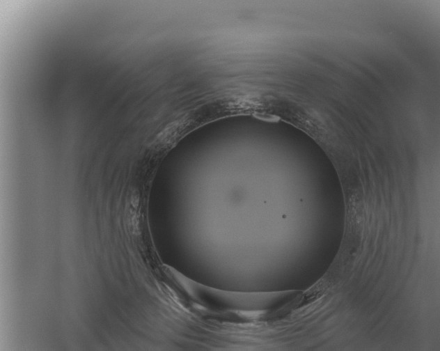 X0000060560223200511101612