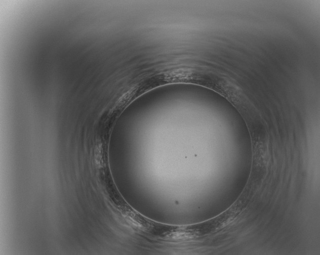 X0000060560224200511101612