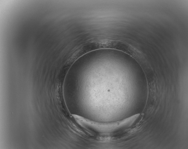 X0000060560225200511101612