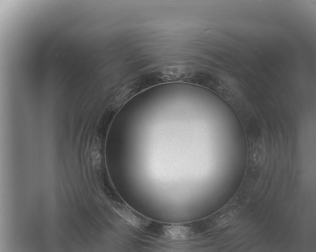 X0000060560226200511101612