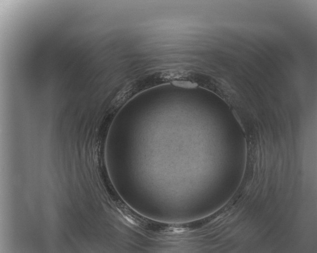 X0000060560227200511101612