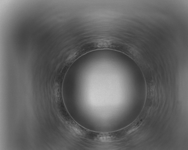 X0000060560228200511101612