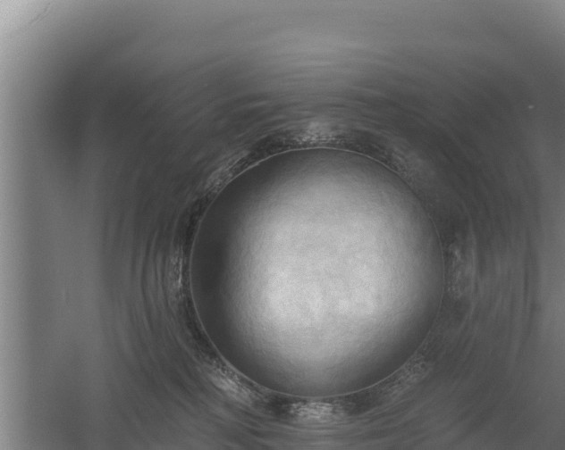 X0000060560230200511101612