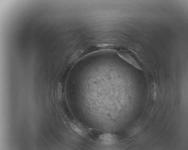 X0000060560231200511101612