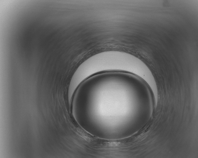 X0000060560233200511101611