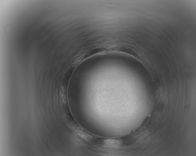 X0000060560234200511101611