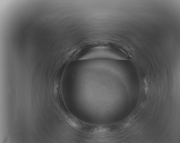 X0000060560235200511101611