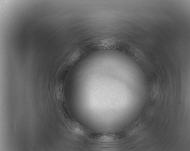 X0000060560236200511101611